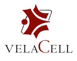 VelaCell